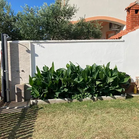 Apartment Bonaca *